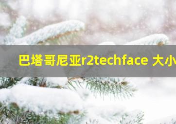 巴塔哥尼亚r2techface 大小